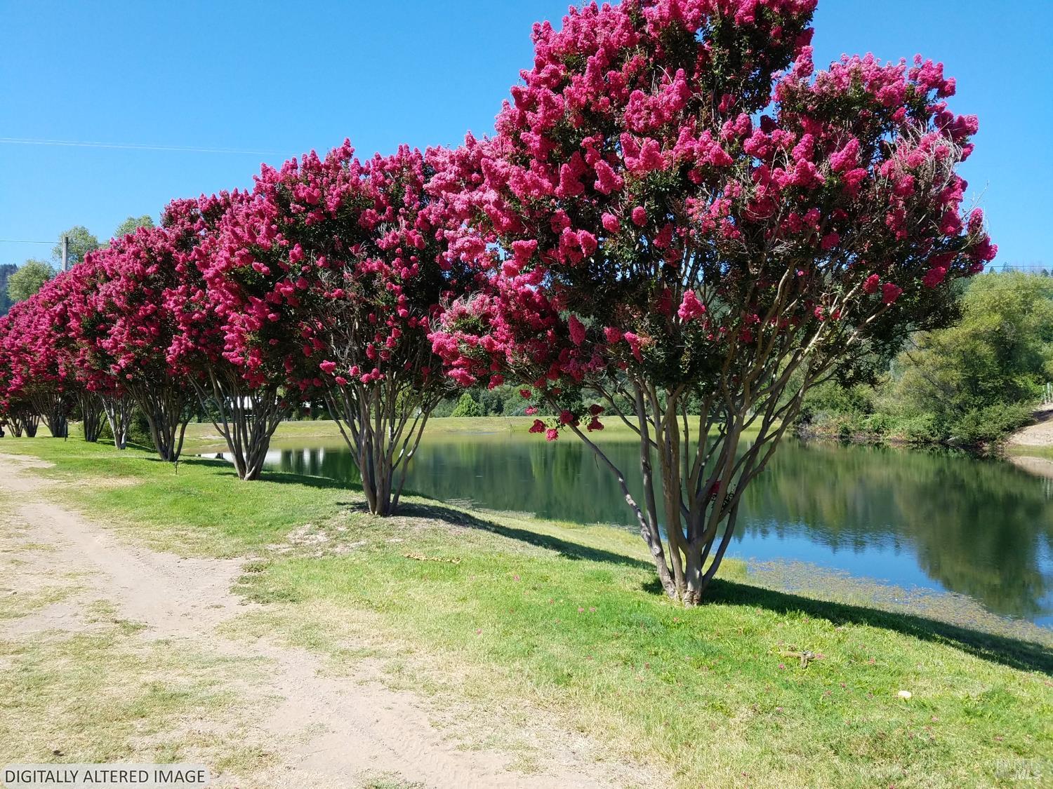 8320 Franz Valley Road Calistoga, CA 94515 - Photo 56 of 78