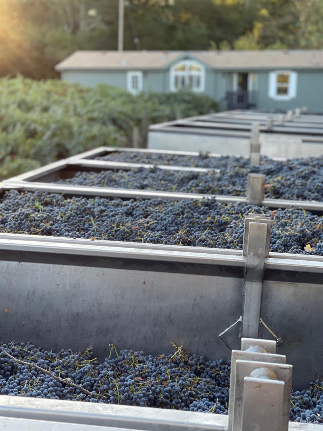 8320 Franz Valley Road Calistoga, CA 94515 - Photo 64 of 78