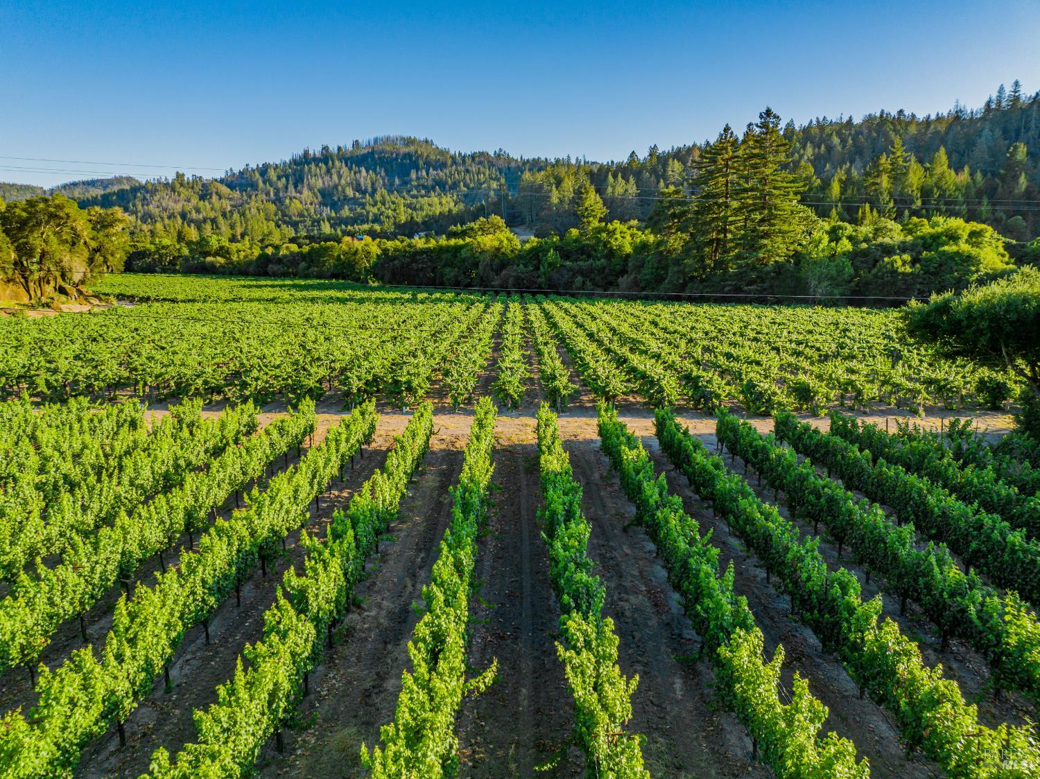 8320 Franz Valley Road Calistoga, CA 94515 - Photo 65 of 78