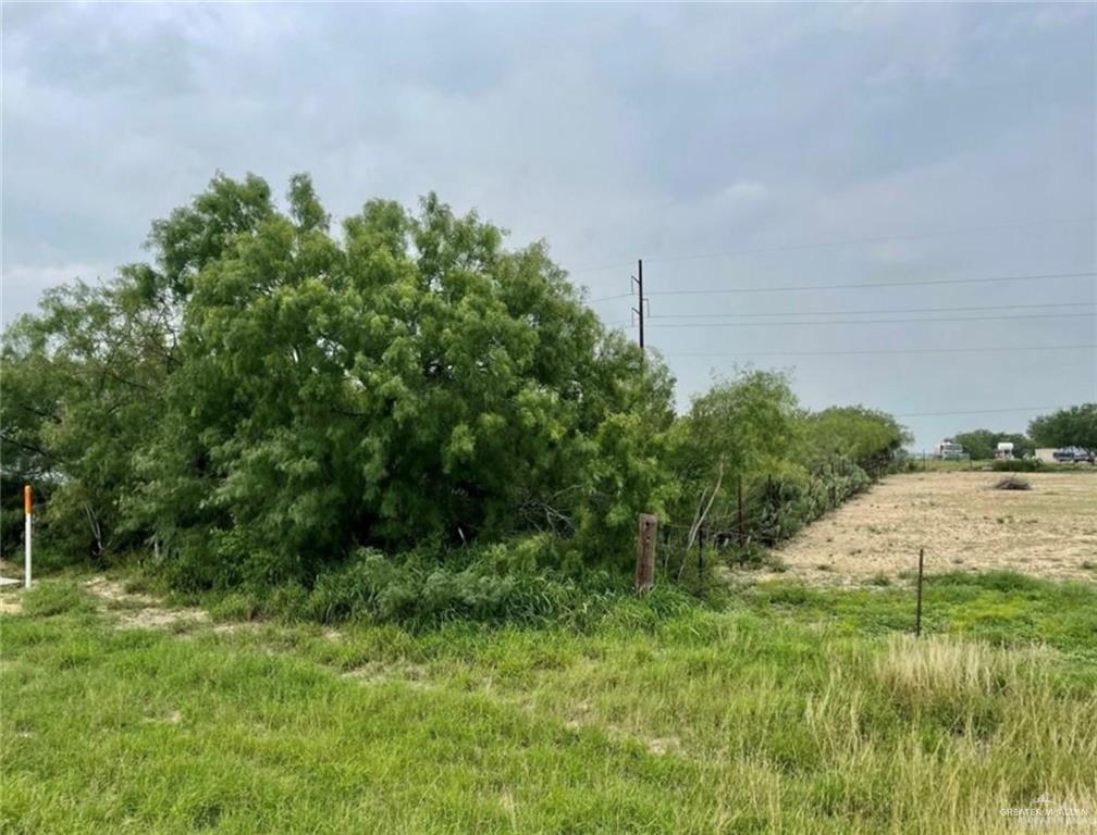 2911 Highway 83 Roma, TX 78584 - Photo 7 of 11 Front view facing SW off US Hwy 83 showing northern most property line. Lot depth is 228.