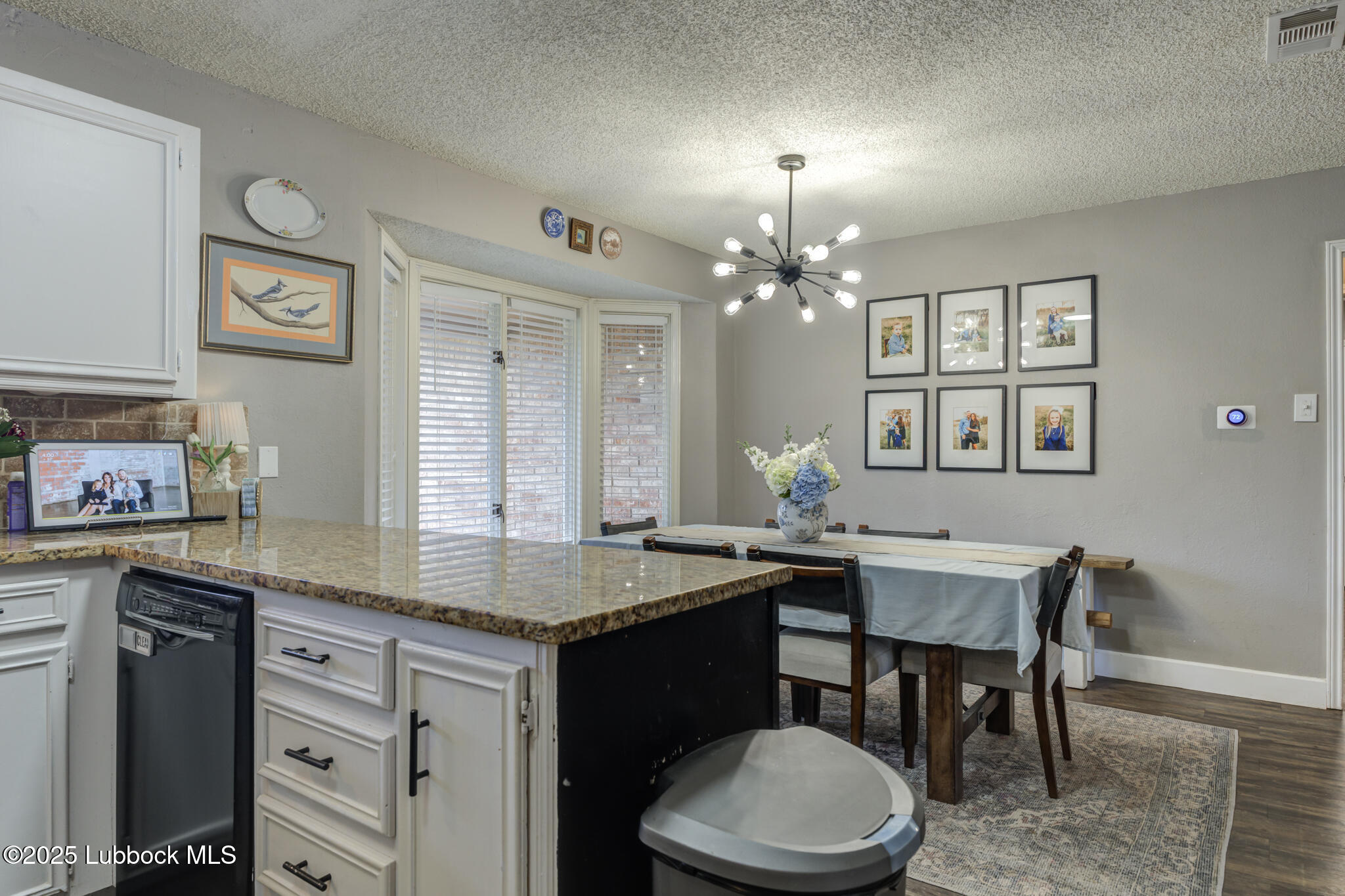 5304 89th Street Lubbock, TX 79424 - Photo 15 of 38 DSC01447_8_9