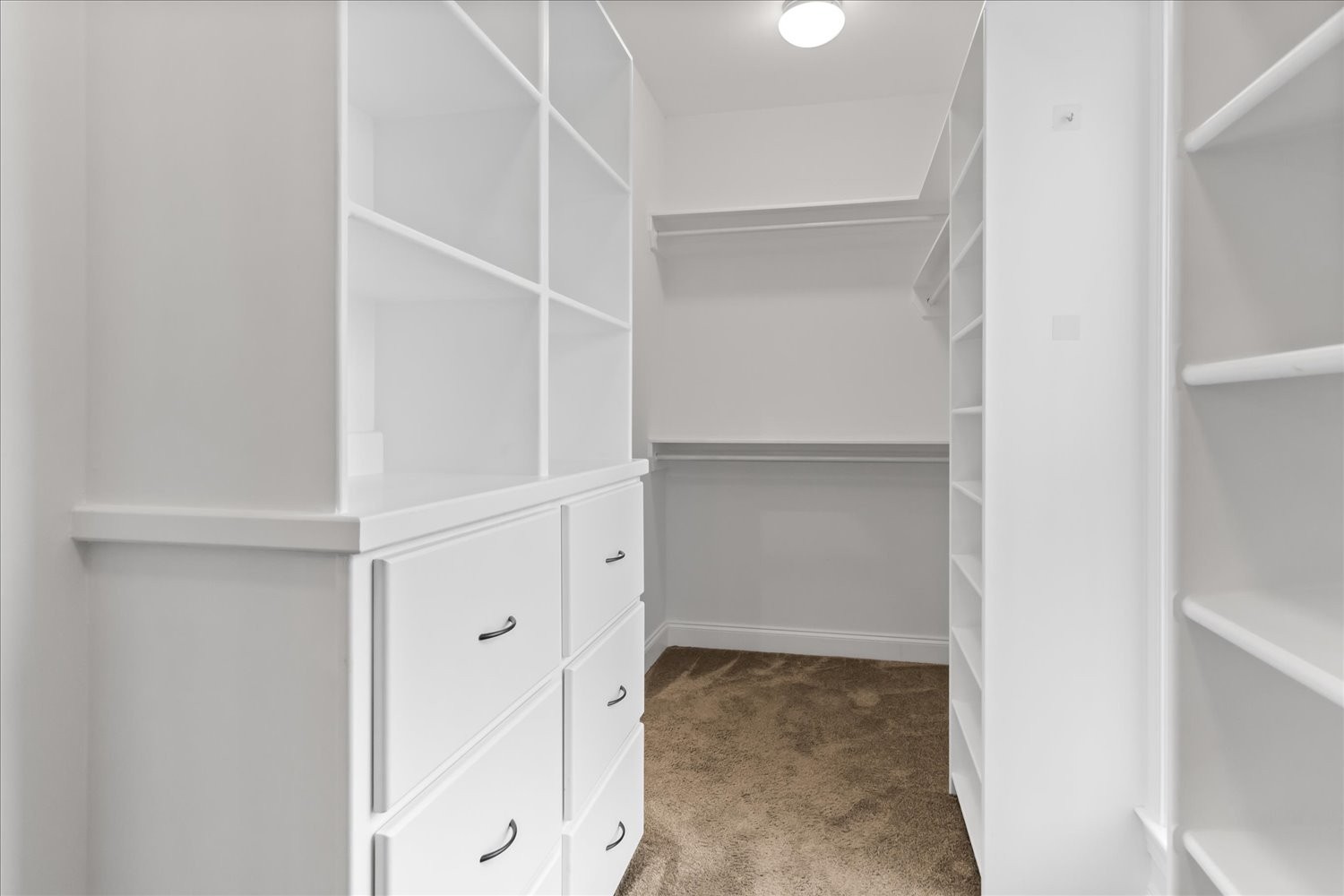 5004 Paint Creek Court Spring Hill, TN 37174 - Photo 46 of 91 a view of walk in closet with empty racks