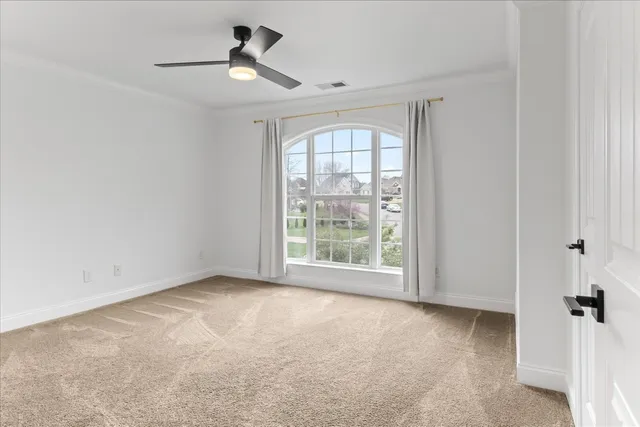 a view of a house with a yard and a large tree