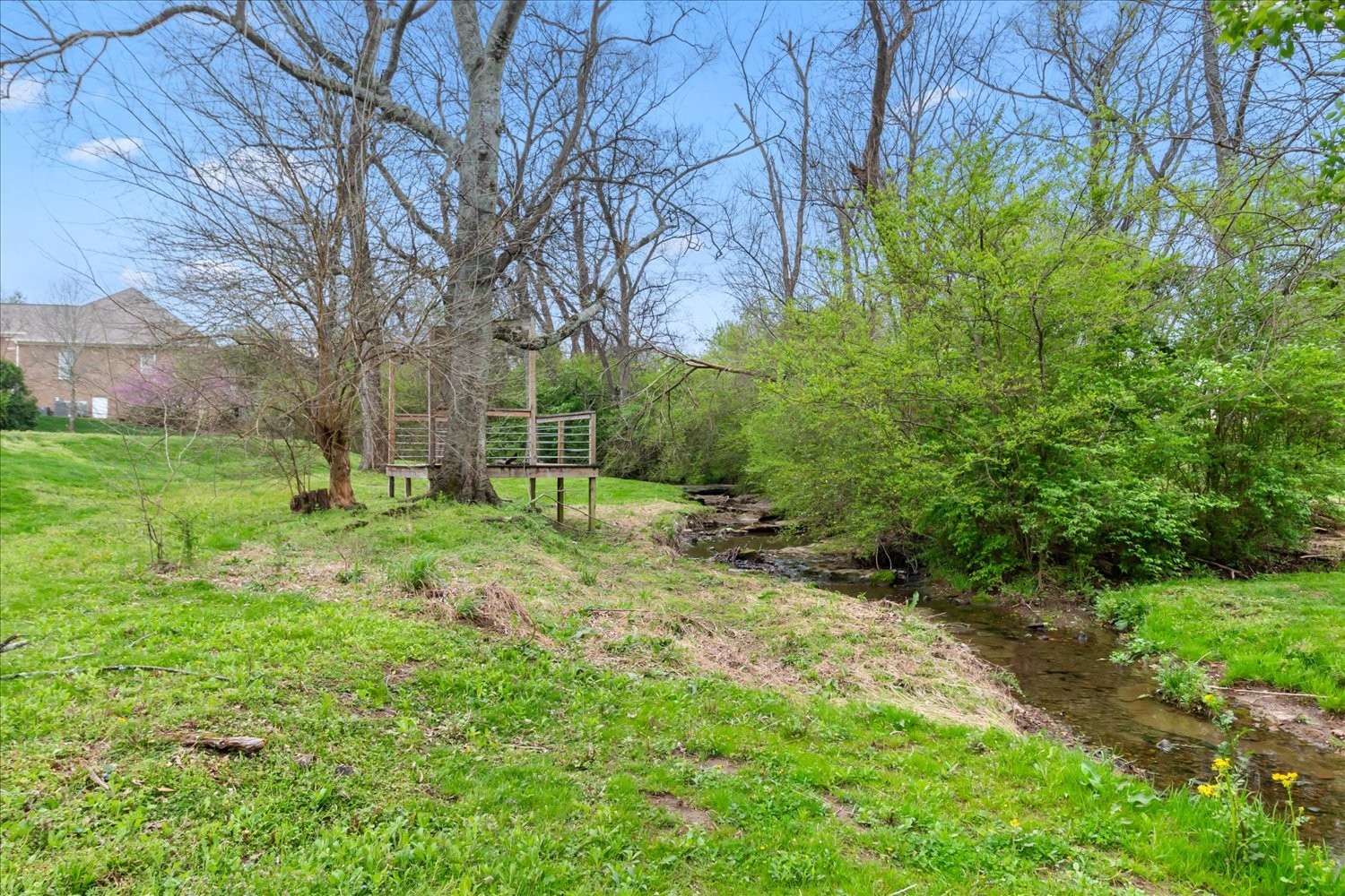 5004 Paint Creek Court Spring Hill, TN 37174 - Photo 72 of 91 a view of a yard with a tree
