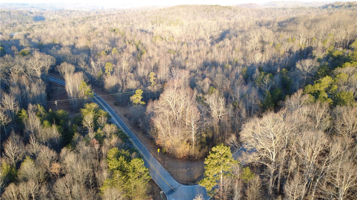 434 Rock Hill Road Fair Play, SC 29643 - Photo 8 of 11 This verdant expanse offers a serene landscape, perfect for a private retreat.