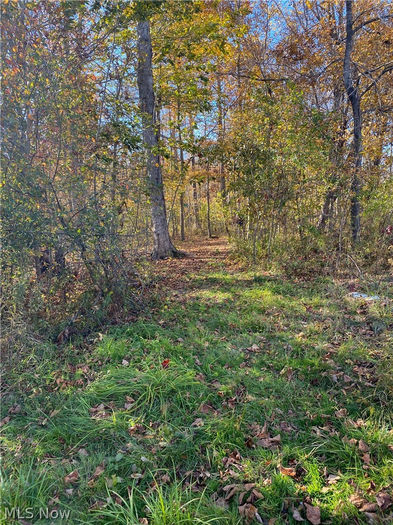 0 Fowlers Mill Road Chardon, OH 44024 - Photo 9 of 18 Gallery Image 9