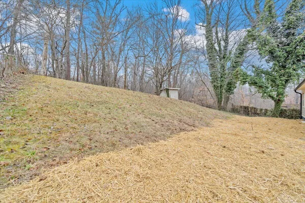 a view of backyard of a house
