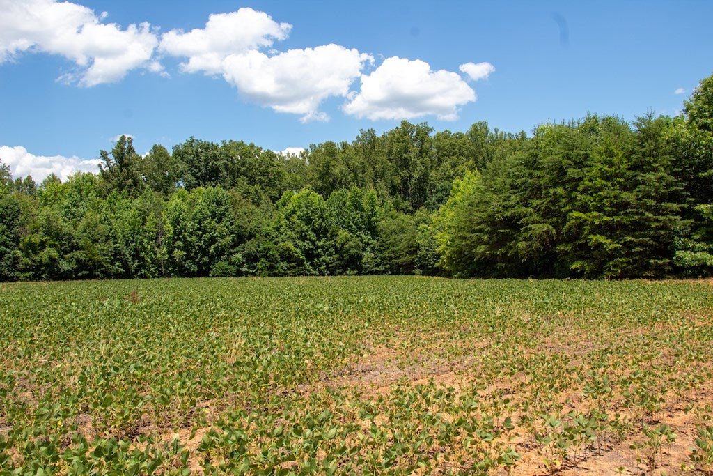 East Elkhorn Road Java, VA 24565 - Photo 13 of 29 Gallery Image 13