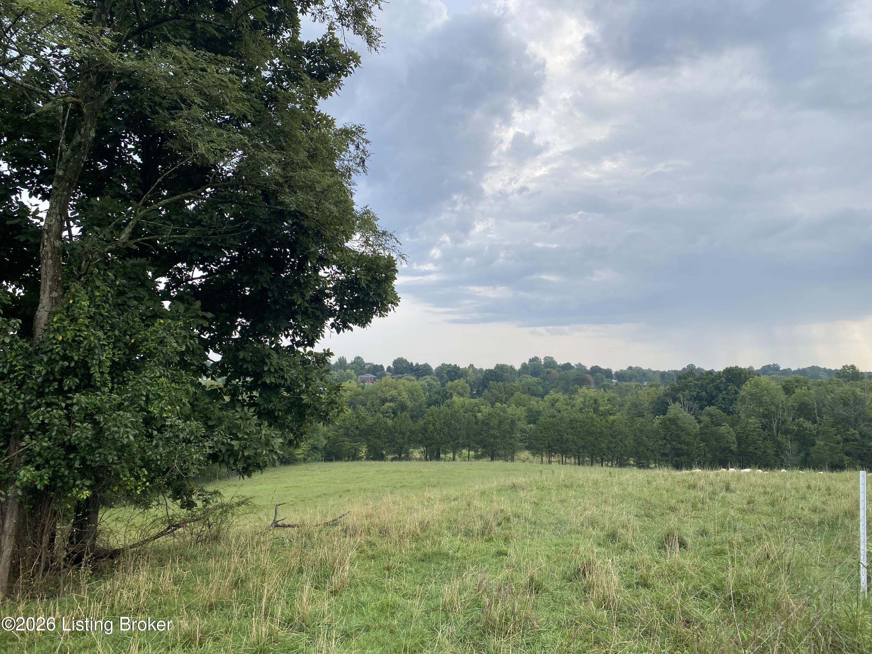 4898 Springfield Road Bardstown, KY 40004 - Photo 62 of 72 IMG_1928