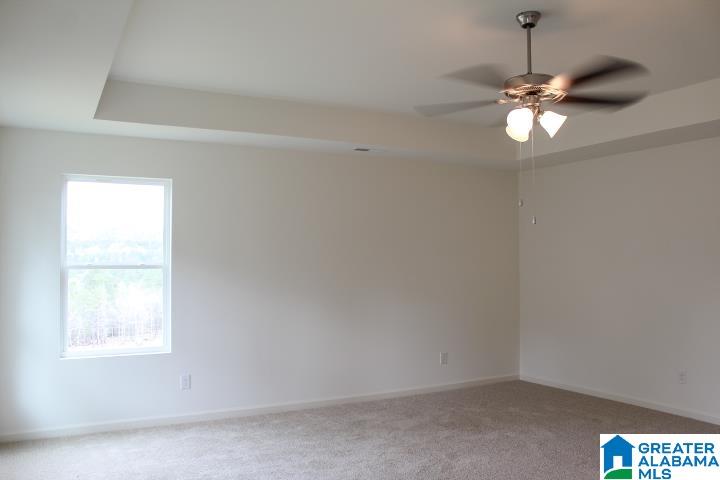 520 Rock Terrace Way Helena, AL 35080 - Photo 28 of 53