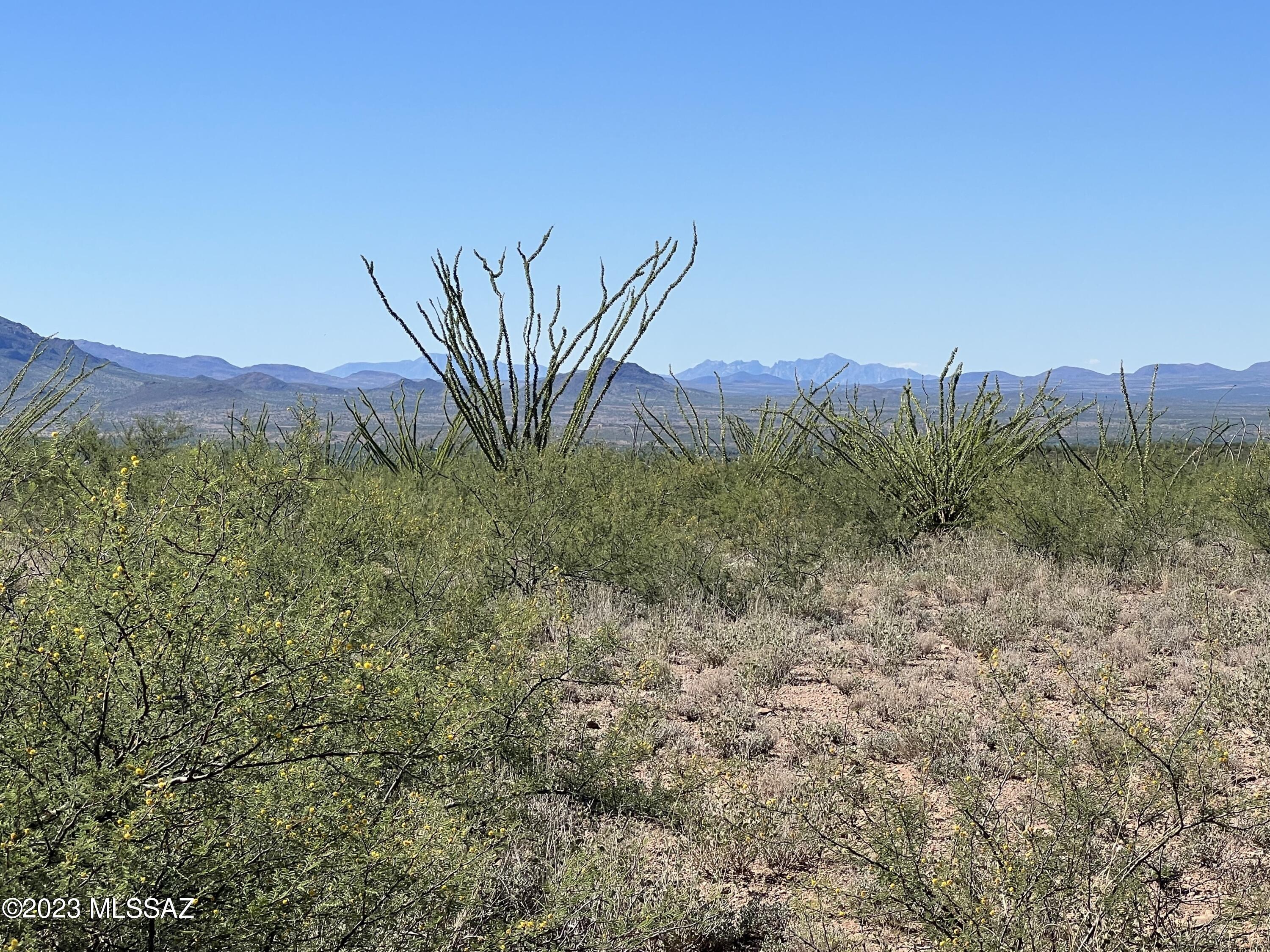Tbd Camino Nacozari, Unit 71 Rio Rico, AZ 85648 - Photo 16 of 19 Outstanding Opportunity
