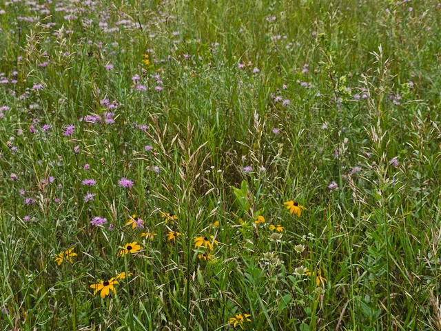 $152,000 | 9028 County Road North, Almond, WI 54909