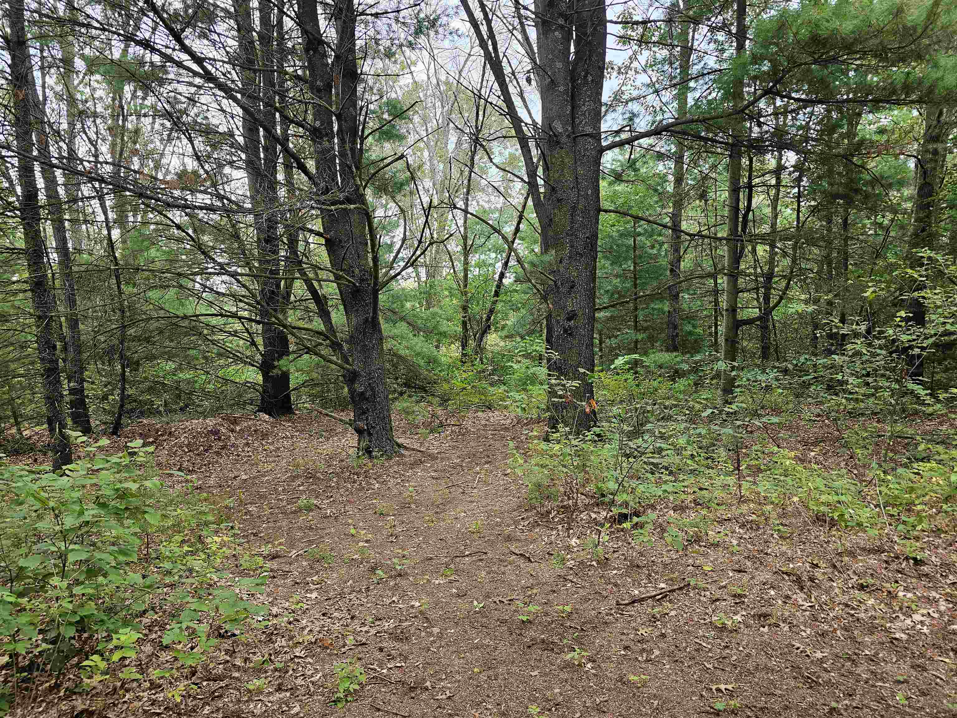 9028 County Road North Almond, WI 54909 - Photo 22 of 27