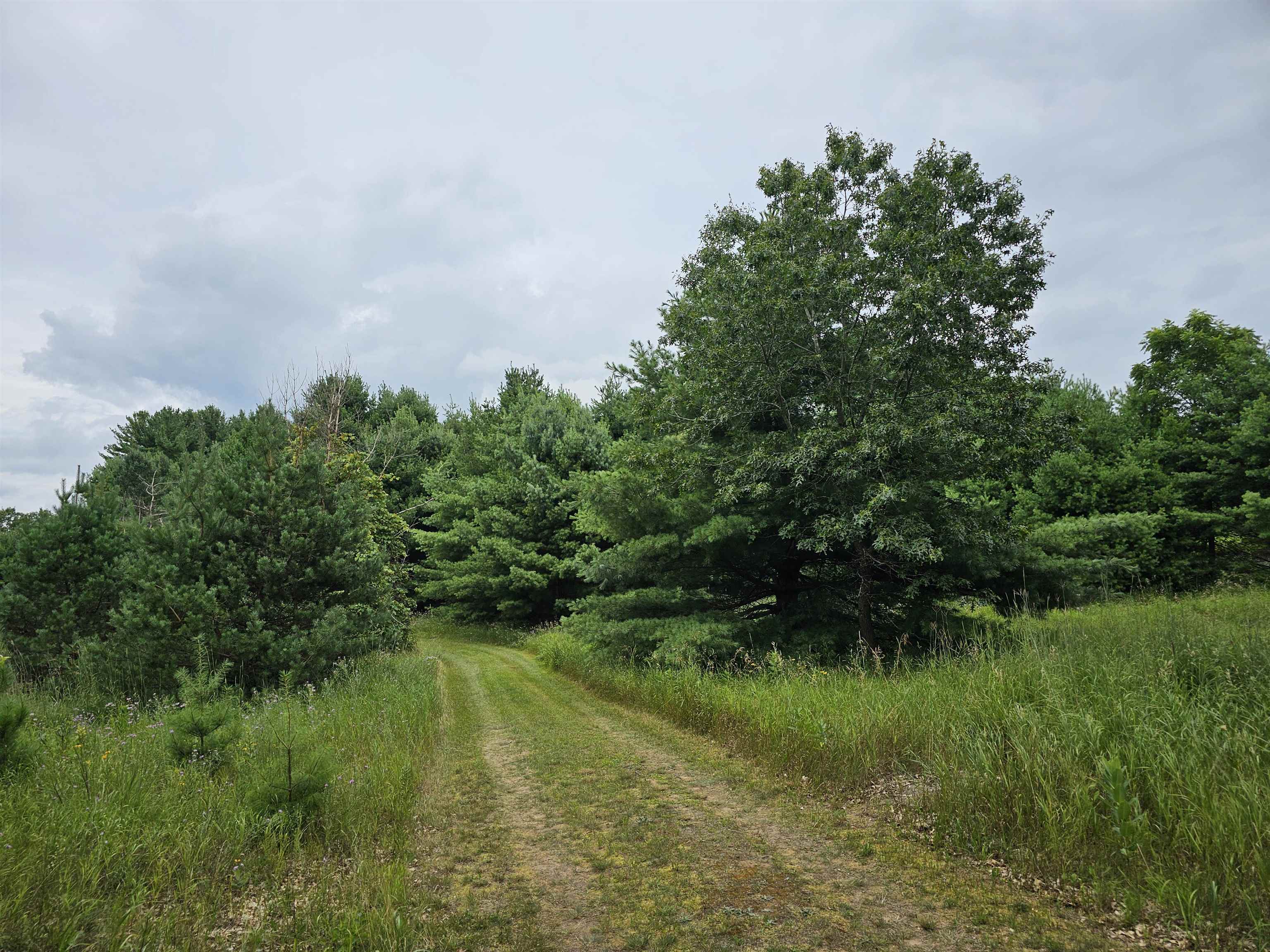9028 County Road North Almond, WI 54909 - Photo 25 of 27