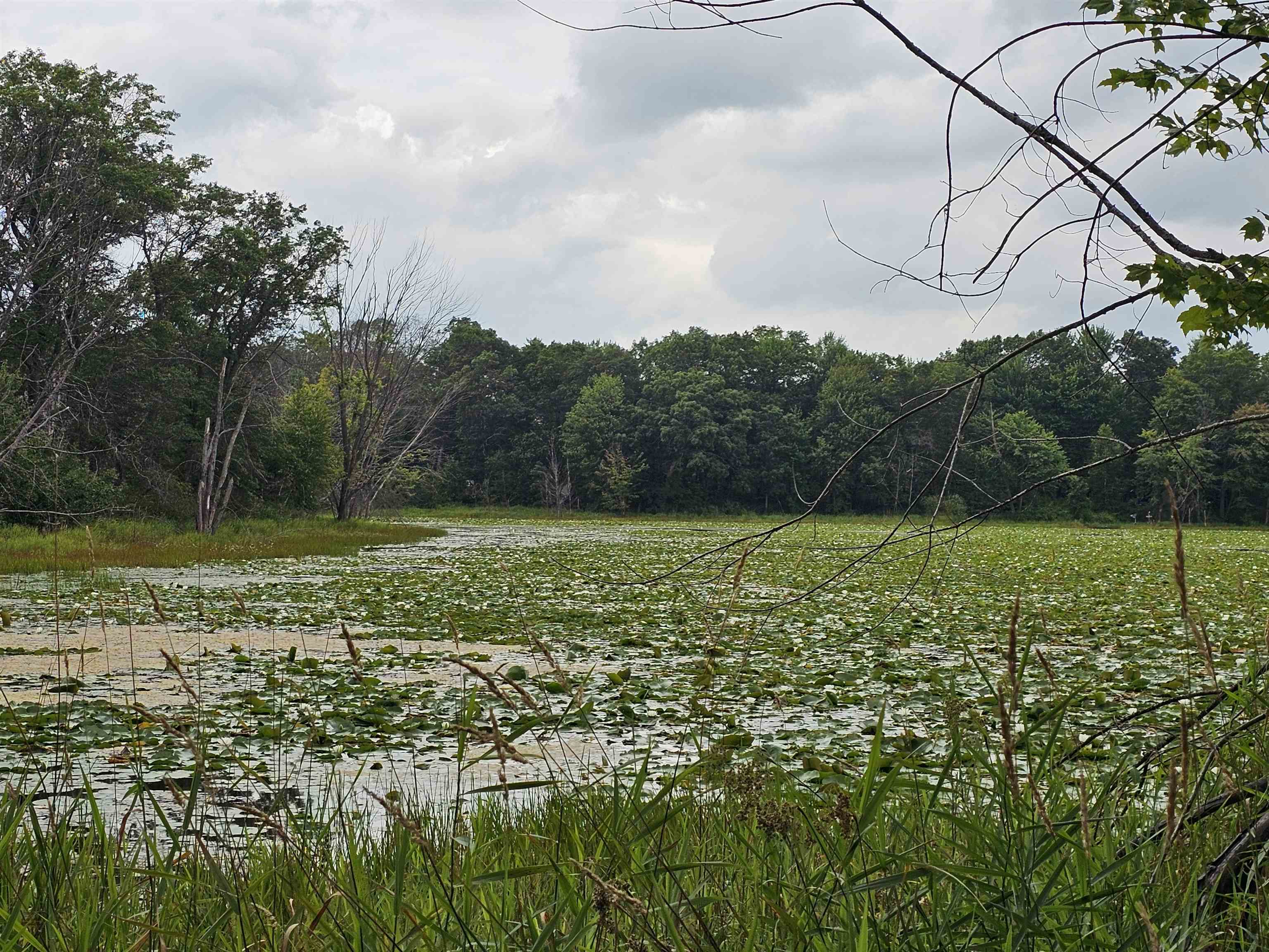 9028 County Road North Almond, WI 54909 - Photo 4 of 27