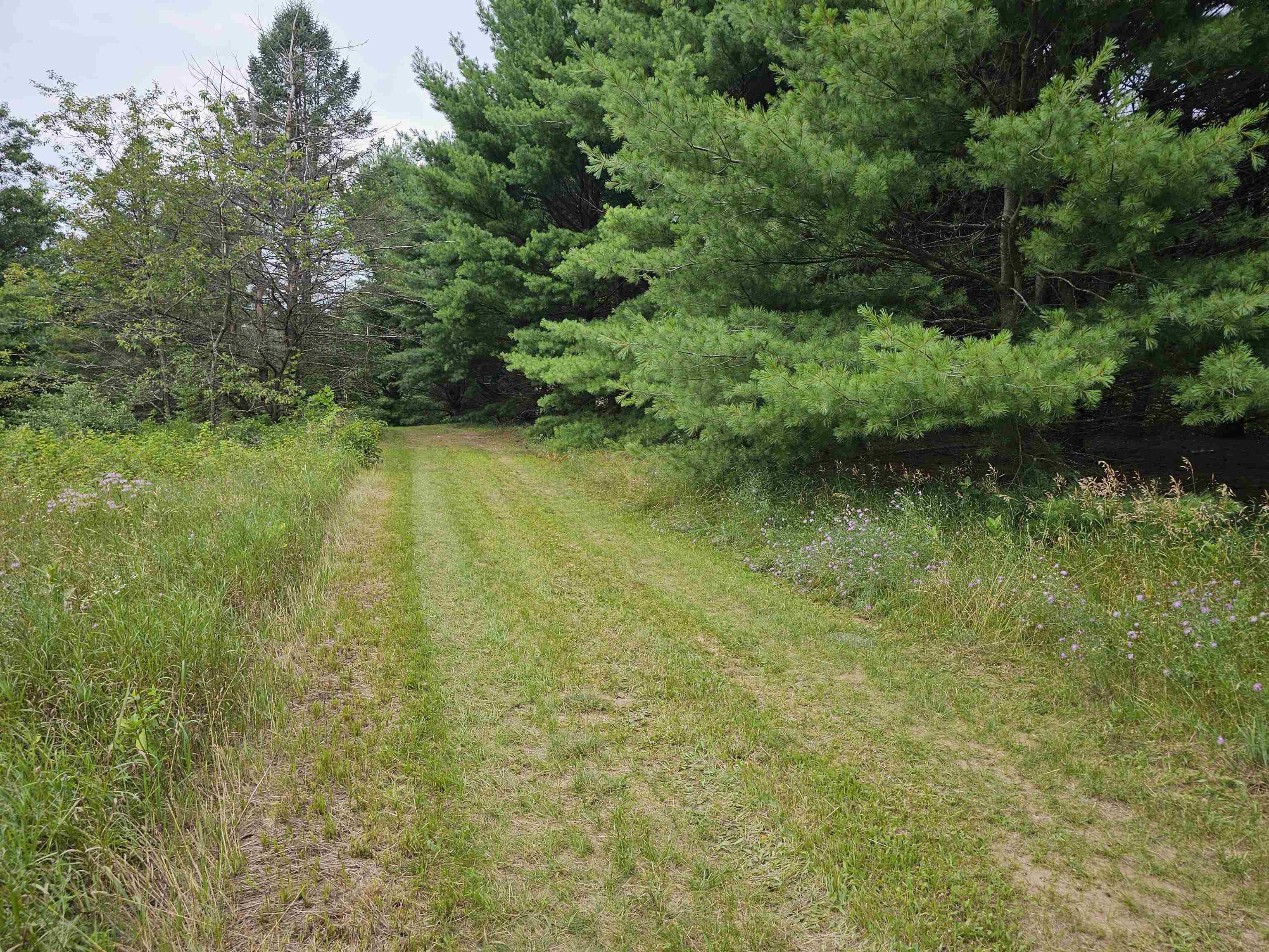 9028 County Road North Almond, WI 54909 - Photo 5 of 27
