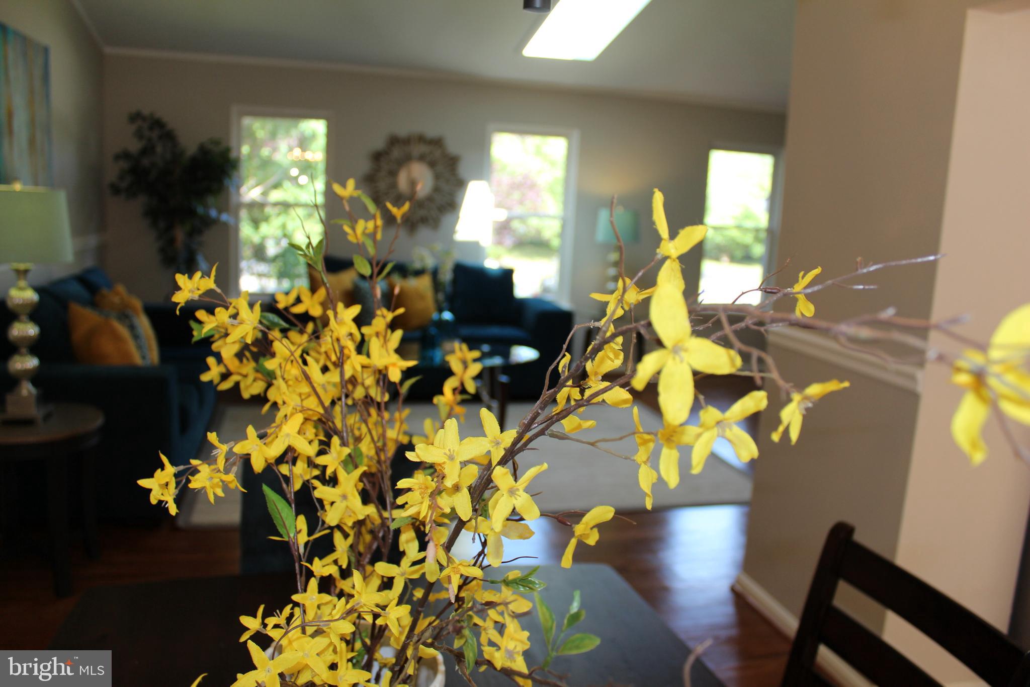 13311 Pendleton Street Fort Washington, MD 20744 - Photo 22 of 53 ..............a view from Dining Room