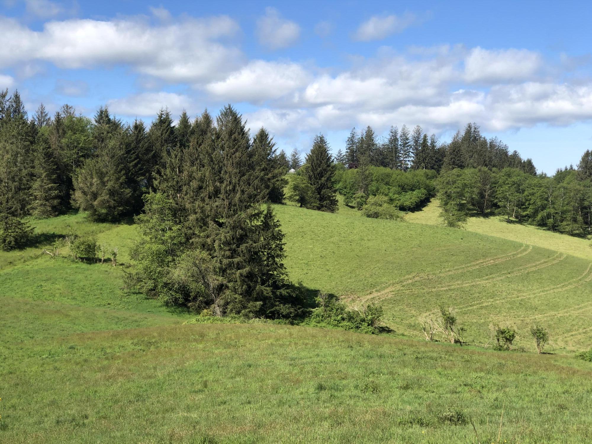 201 Hodgdon Road Tillamook, OR 97141 - Photo 15 of 33 IMG_7790