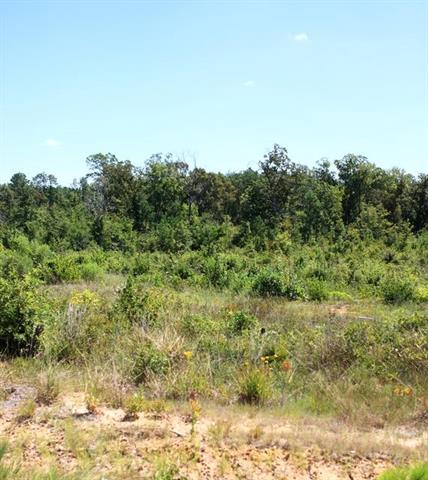 Tbd Lot 20 Tbd Road Leesville, LA 71446 - Photo 1 of 1