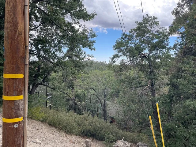 a aerial view of a house with a yard and large trees