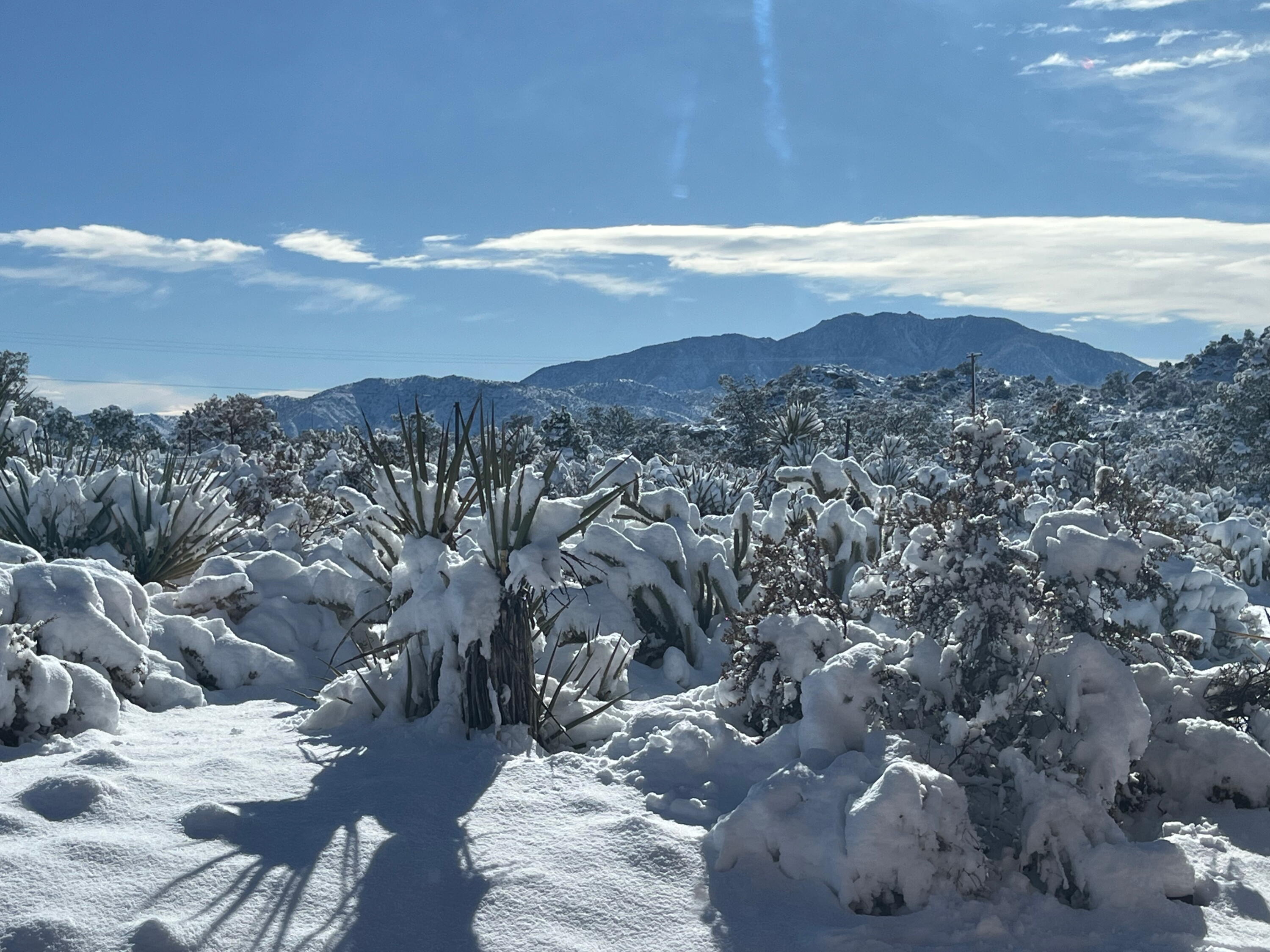 70120 San Lorenzo Road Mountain Center, CA 92561 - Photo 11 of 14 a view of a city