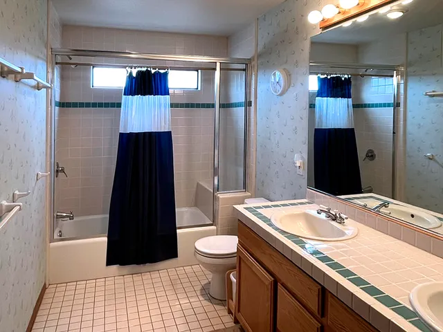 a bathroom with a sink a toilet and shower