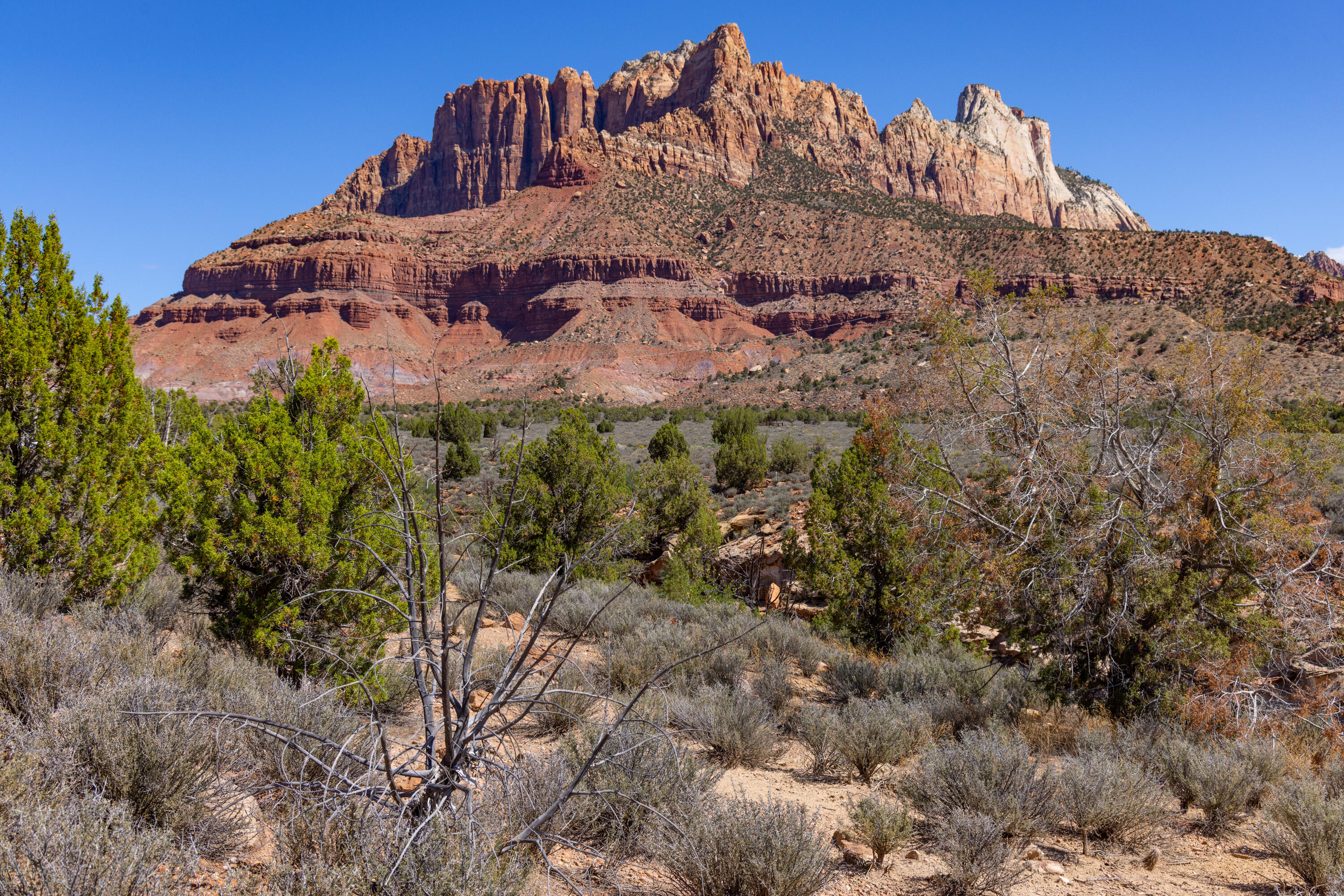 2495 Navajo Circle, Unit 69 Springdale, UT 84767 - Photo 35 of 44 33-Anasazi Plateau lot 69