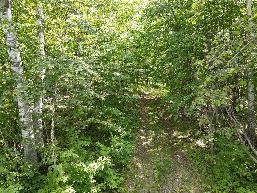 Tbd Tbd Idas Road Osage, MN 56570 - Photo 16 of 22 Gallery Image 16