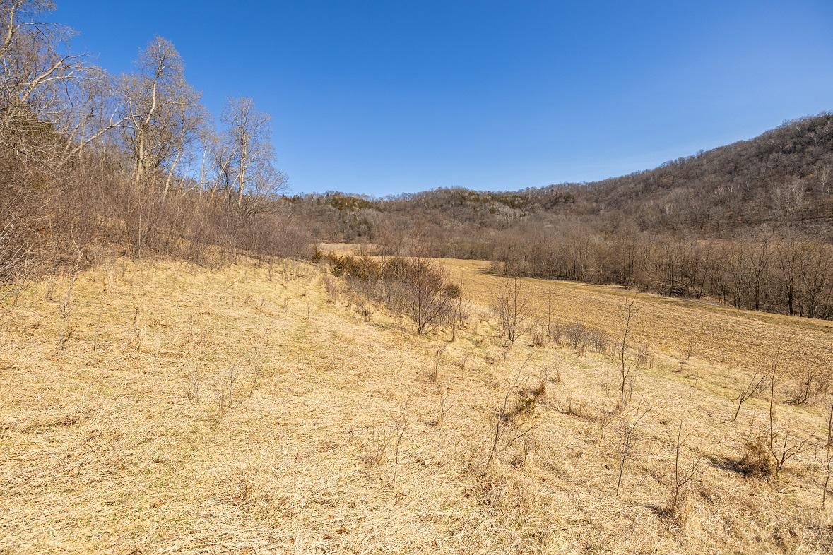 S2901 Semling Lane Fountain City, WI 54629 - Photo 111 of 118
