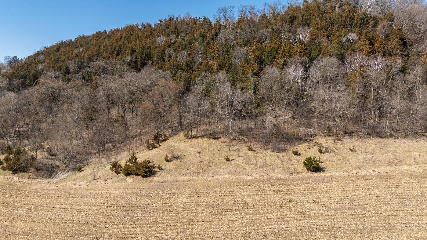 S2901 Semling Lane Fountain City, WI 54629 - Photo 52 of 118