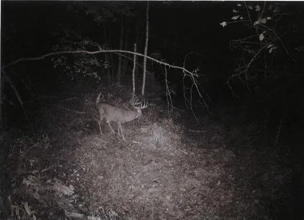 $1,100,000 | S2901 Semling Lane, Fountain City, WI 54629