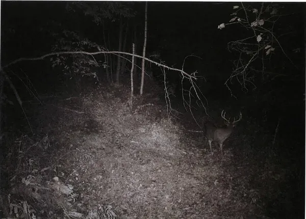 $1,100,000 | S2901 Semling Lane, Fountain City, WI 54629