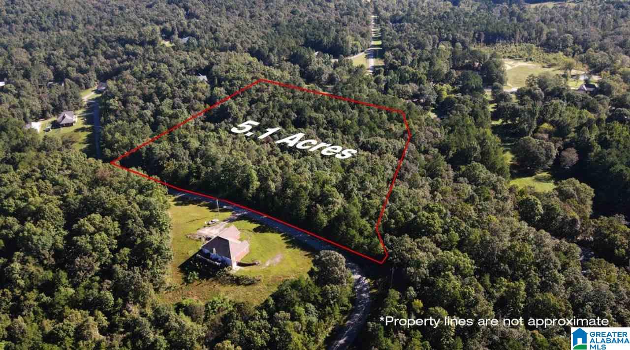 0 Trinity Way Jacksonville, AL 36265 - Photo 1 of 2