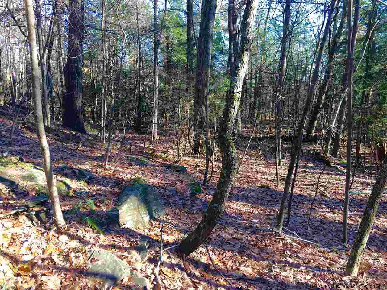 262 Upper Byrdcliffe Road Woodstock, NY 12498 - Photo 30 of 35 Photo 30