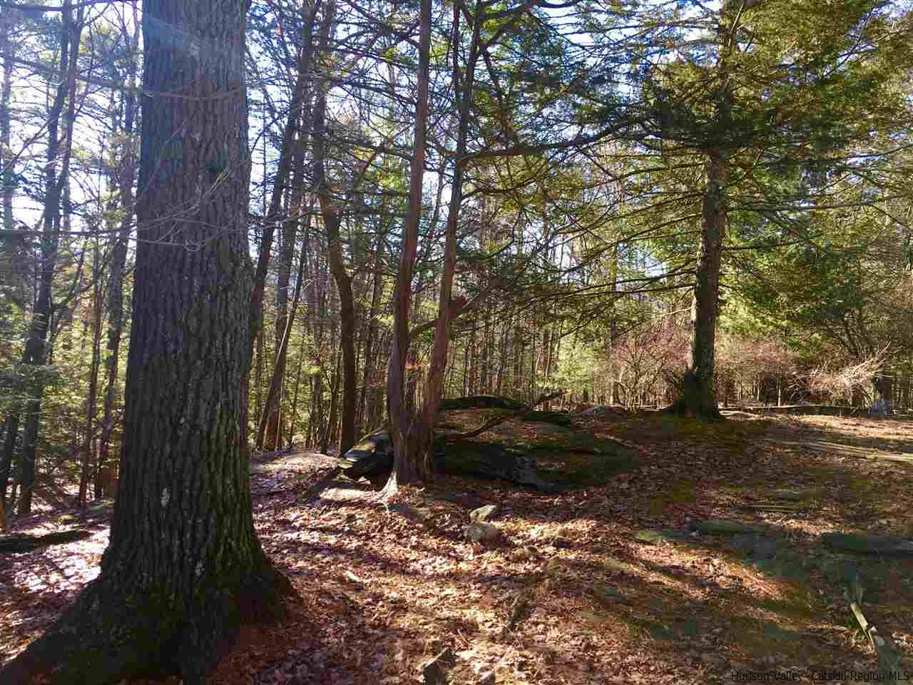 262 Upper Byrdcliffe Road Woodstock, NY 12498 - Photo 35 of 35 Photo 35