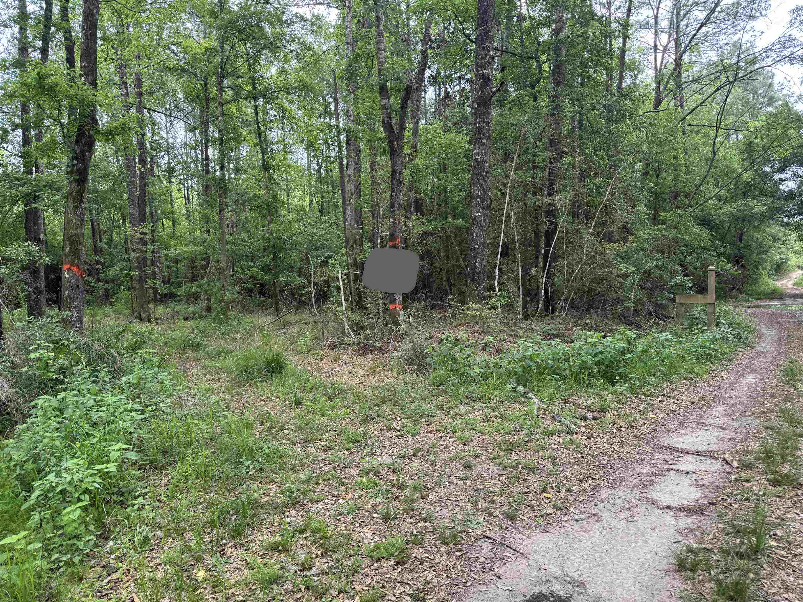 Tbd South Mill Creek Road Silsbee, TX 77656 - Photo 13 of 15