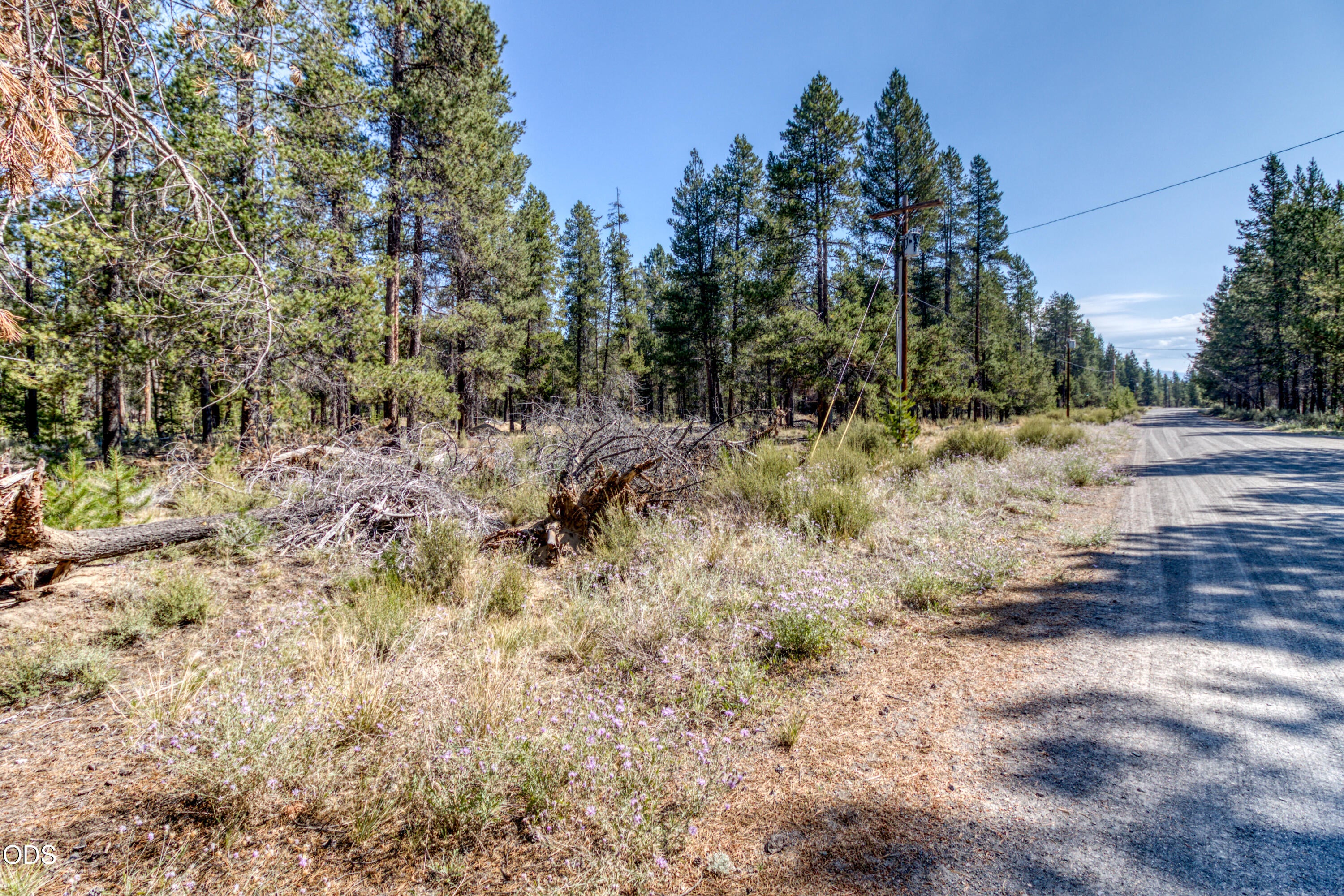 16212 Green Forest Road La Pine, OR 97739 - Photo 5 of 15 Gallery Image 5