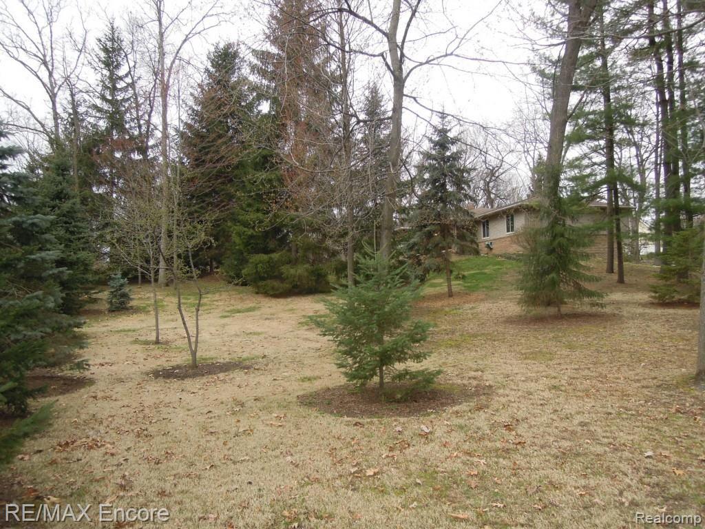 9700 Clark Road Davisburg, MI 48350 - Photo 49 of 50 DSCN9972.jpg