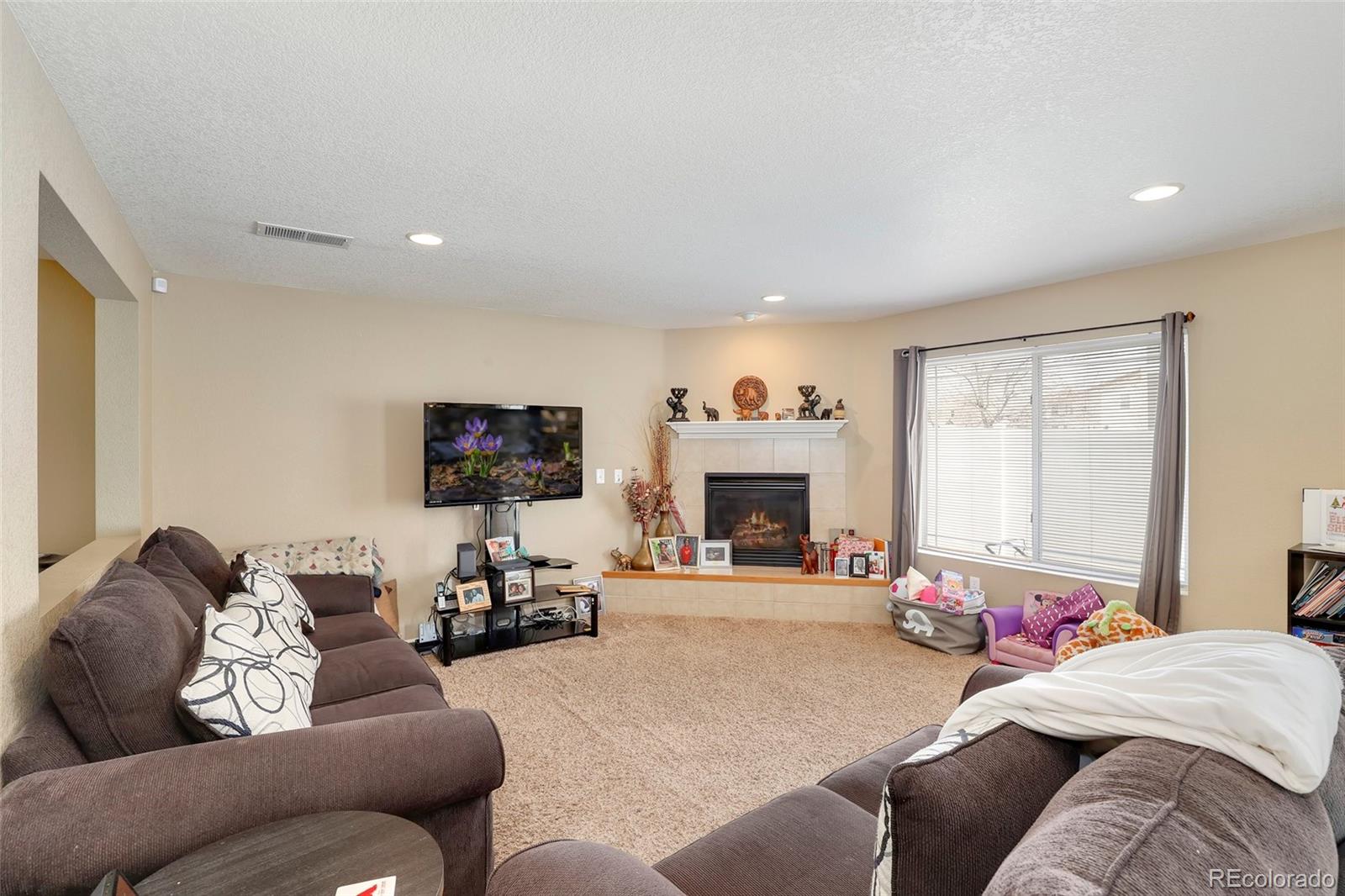 5380 Liverpool Street Denver, CO 80249 - Photo 10 of 30 a living room with furniture and a fireplace