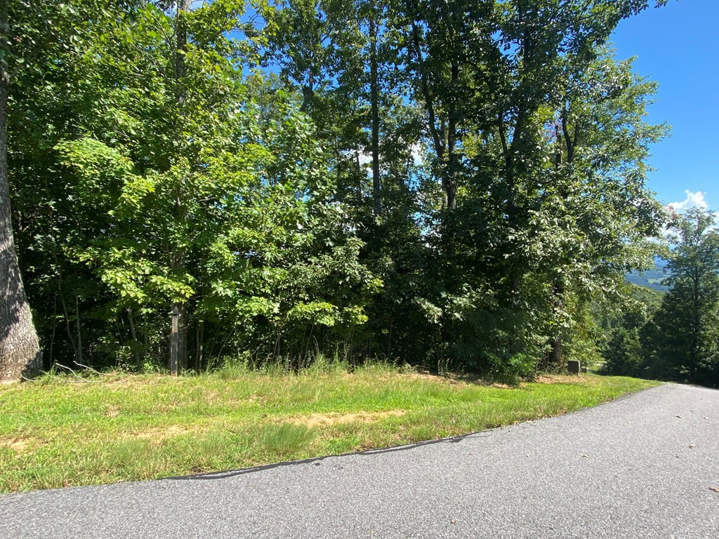 115 Vance Mountain Road Murphy, NC 28906 - Photo 4 of 13