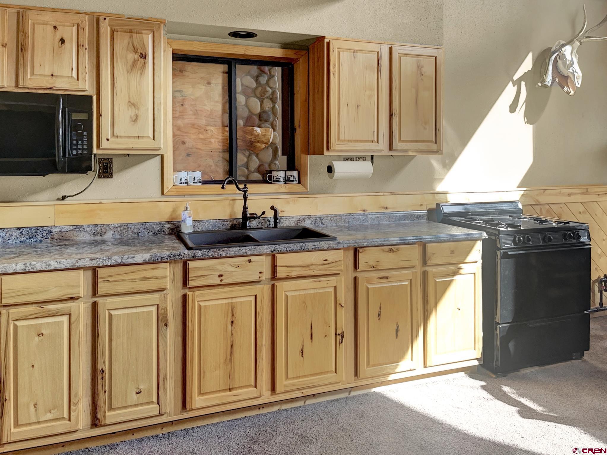 Lot 1 Aspen Hills Road Cedaredge, CO 81413 - Photo 13 of 32 a kitchen with stainless steel appliances granite countertop a sink and a stove