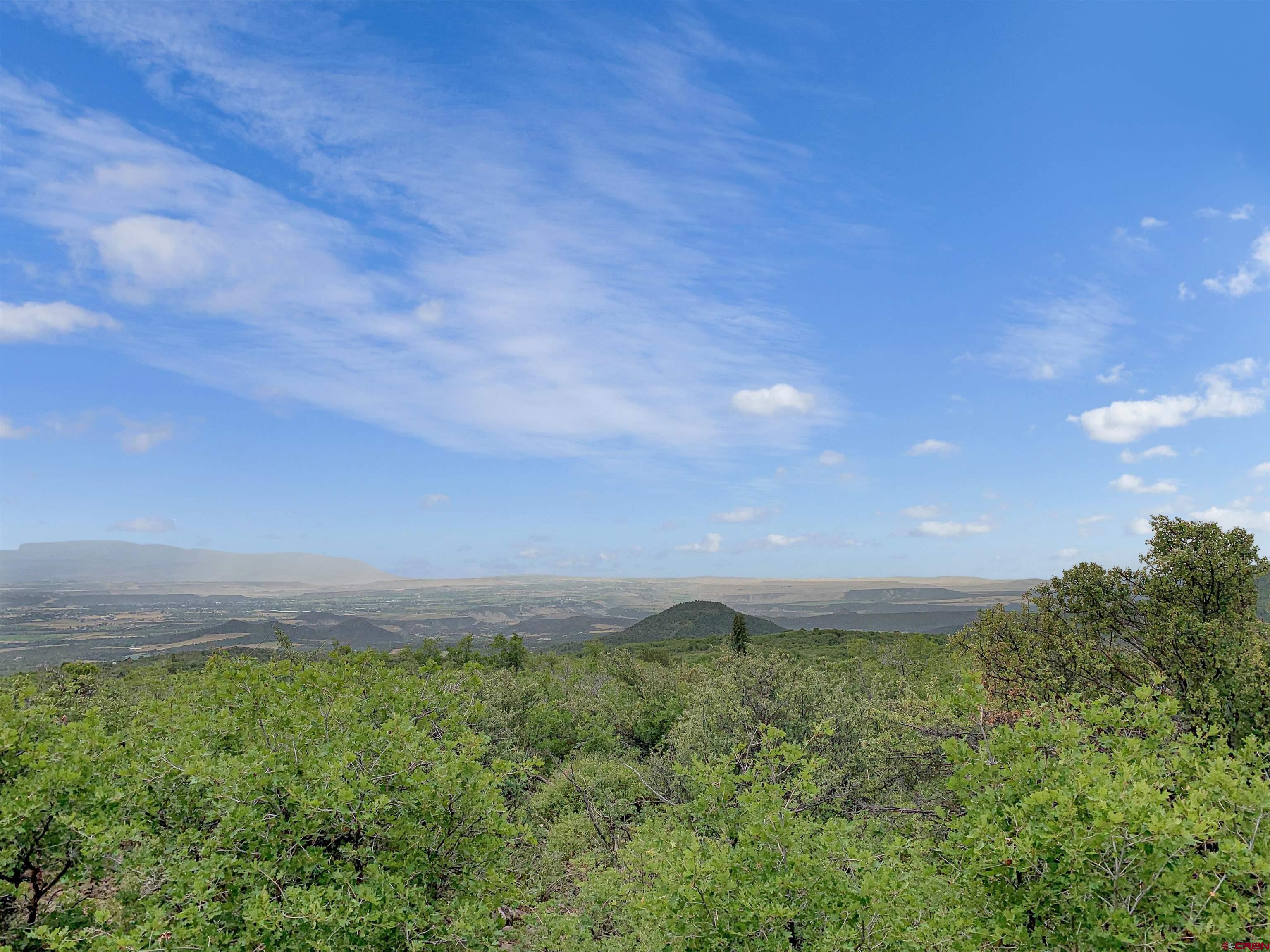 Lot 1 Aspen Hills Road Cedaredge, CO 81413 - Photo 6 of 32 a view of a green field with lots of green space