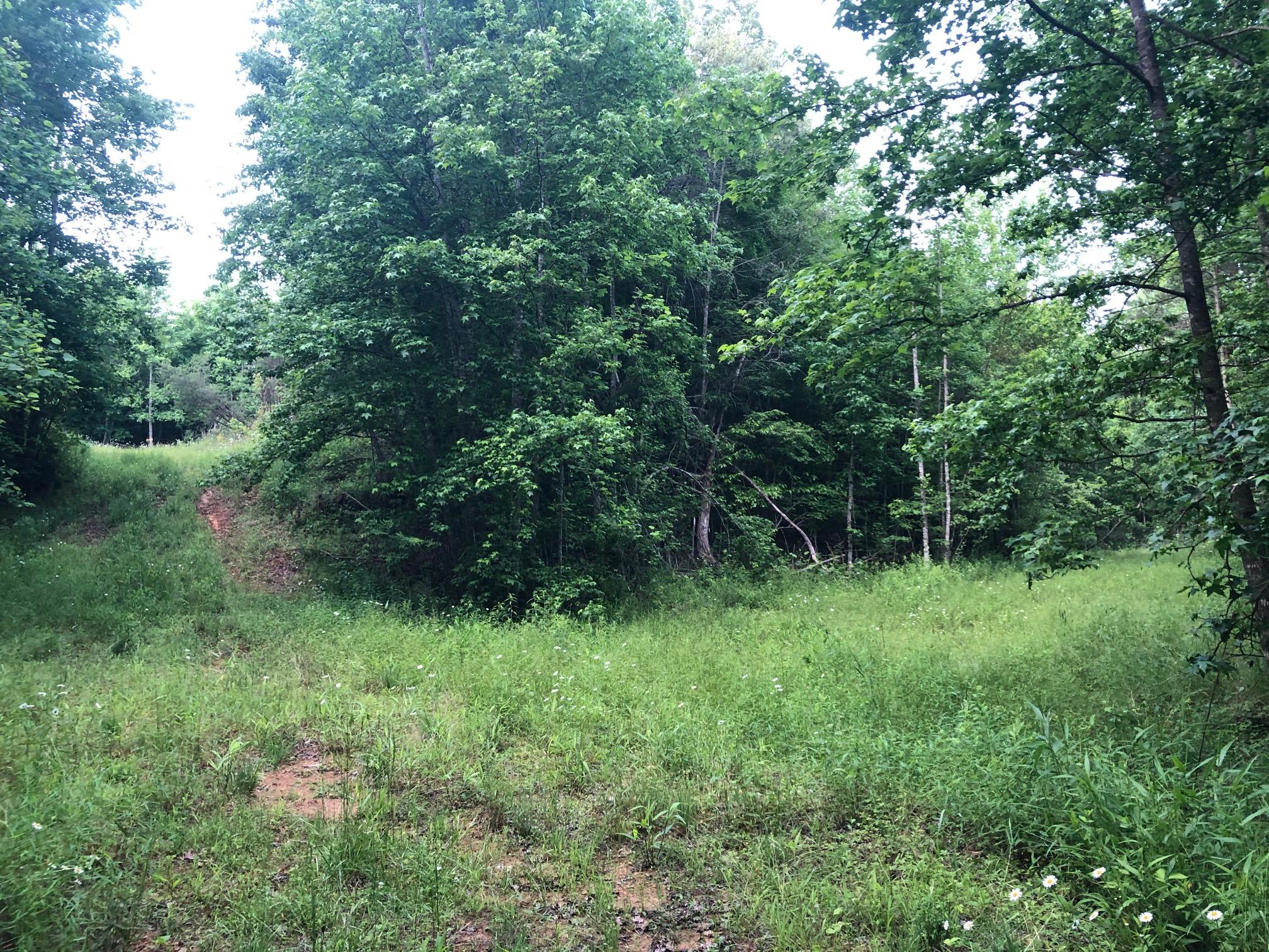 111 Tidal Wave Road Corbin, KY 40701 - Photo 5 of 11 IMG_6100