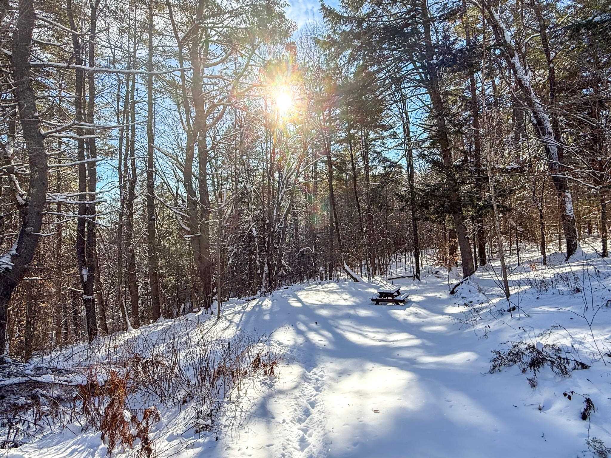 455 Fairground Road Corinth, VT 05040 - Photo 10 of 37