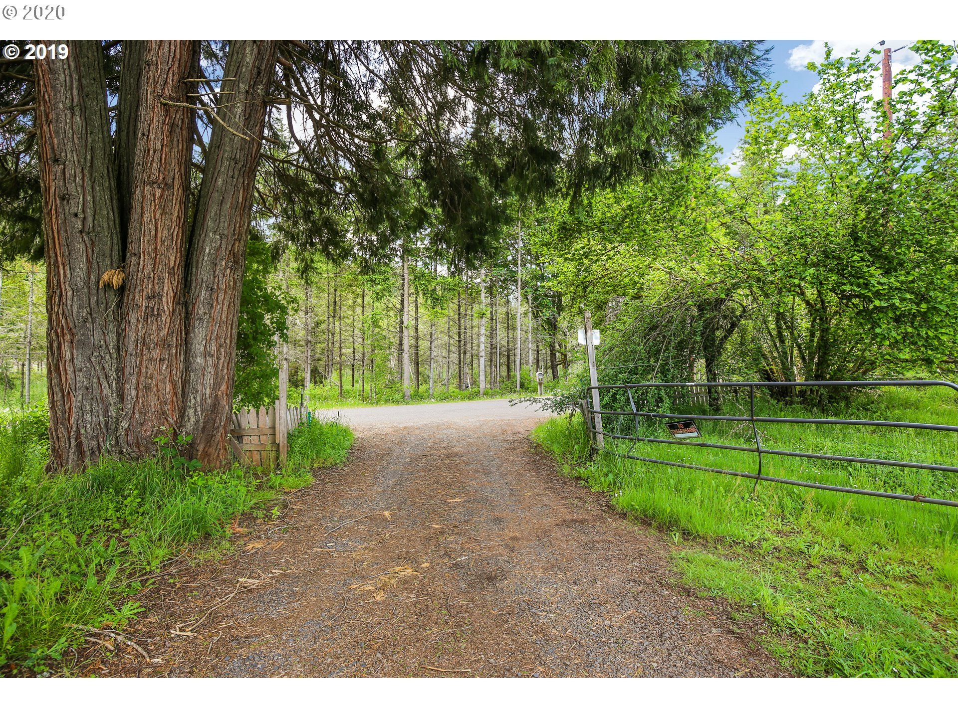 39260 Old Giustina Mill Road Dexter, OR 97431 - Photo 6 of 26 Gallery Image 6
