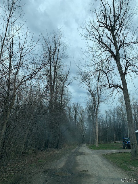 Undisclosed Address Jordan, NY 13080 - Photo 2 of 10