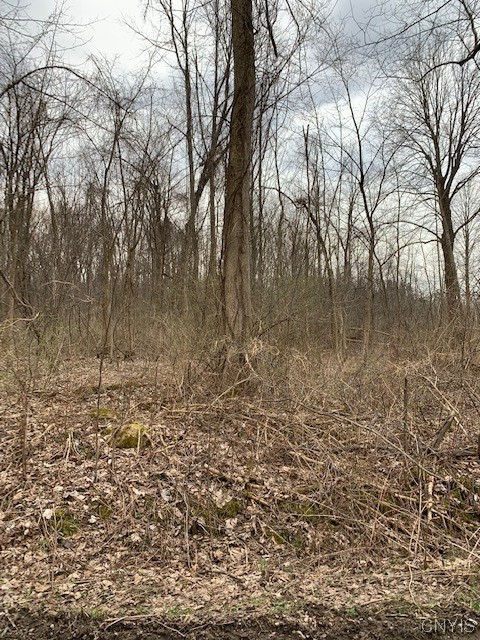 Undisclosed Address Jordan, NY 13080 - Photo 4 of 10