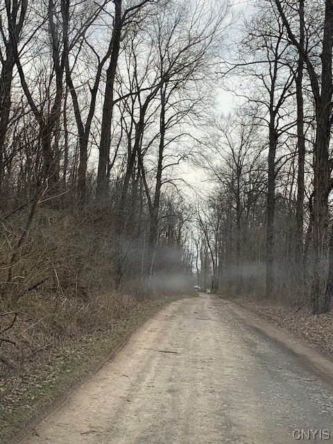 Undisclosed Address Jordan, NY 13080 - Photo 6 of 10