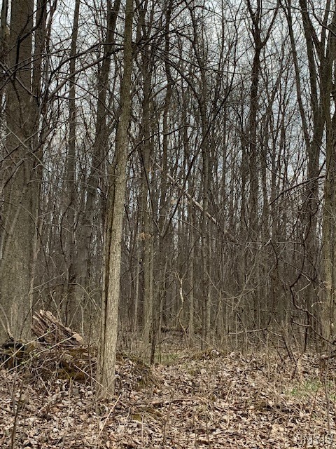 Undisclosed Address Jordan, NY 13080 - Photo 7 of 10