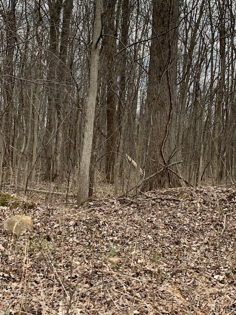 Undisclosed Address Jordan, NY 13080 - Photo 8 of 10